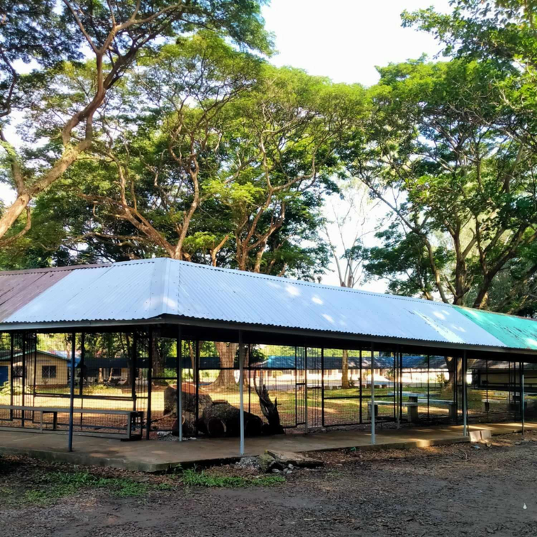 Digital Innovation Hub